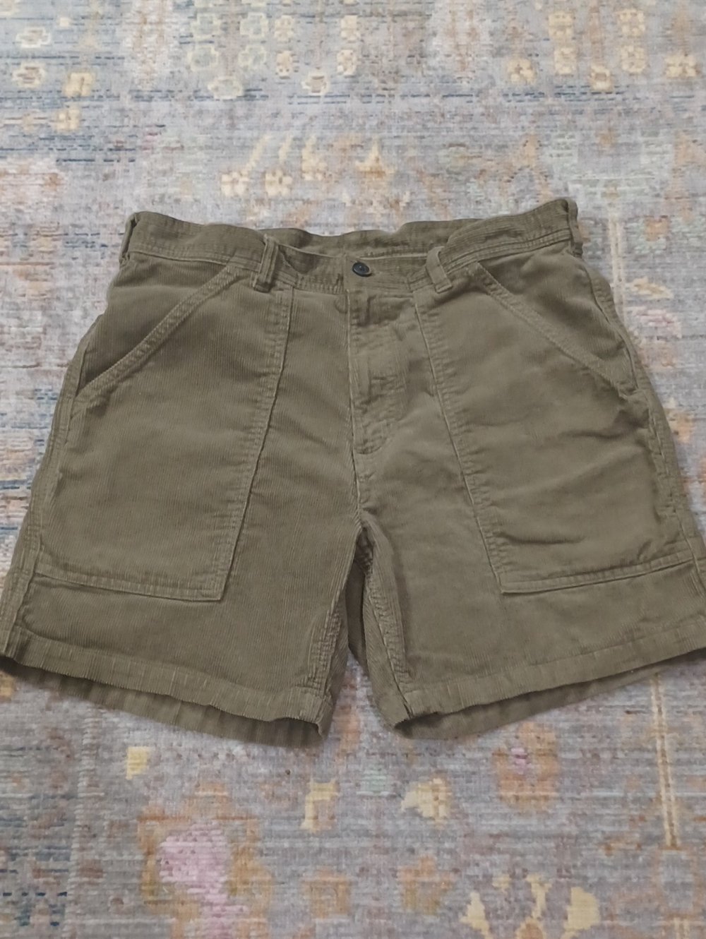 Patagonia Organic Cotton Cord Utility Shorts
